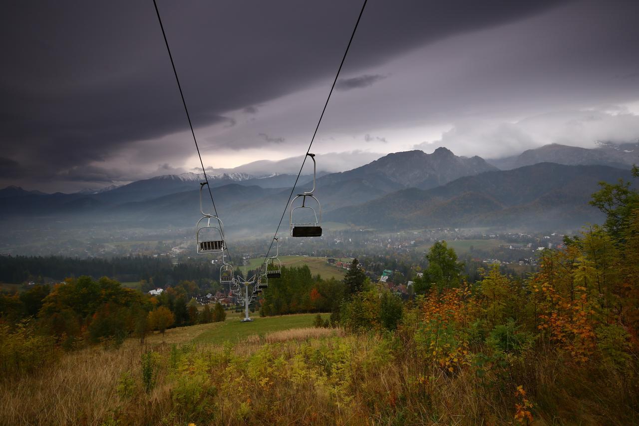 Paryski Art & Business - Basen Jacuzzi Sauna Malpi Gaj Zakopane